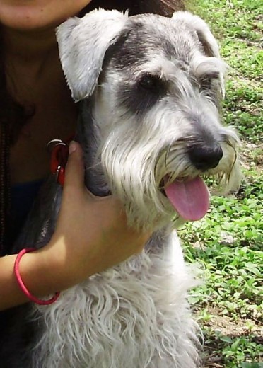 max en el parque